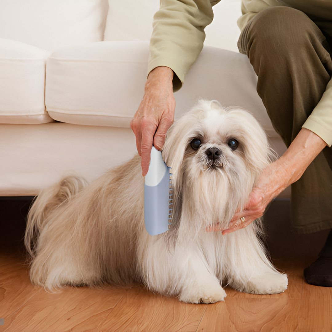 The Importance of Regular Pet Grooming